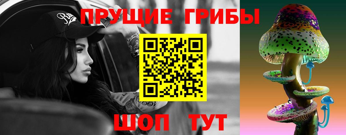 Галлюциногенные грибы прущие грибы  Галлюциногенные грибы GOLDEN TEACHER  Севастополь  Вход с VPN 